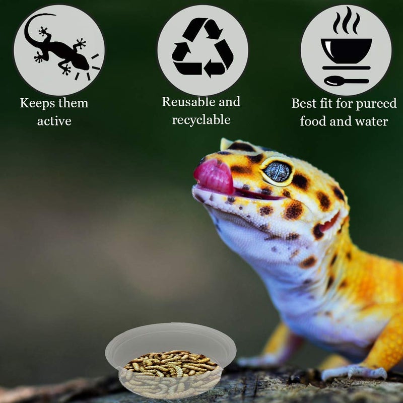 SunGrow Reusable Gecko Food & Water Cups, 100 Pcs, 1 oz. Recyclable Plastic Bowls, Fits Small Stands & Feeders, Durable & Easy to Clean, Ideal for Reptiles - in Resealable Bag - Image 3